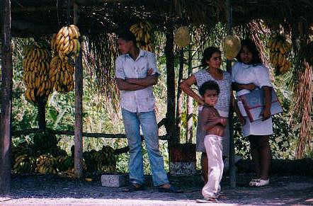 14 Banana stall