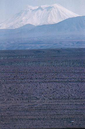 119 ATACAMA DESERT NEAR CALAMA, CHILE