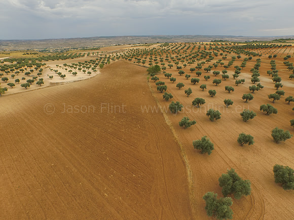 DJI_0010