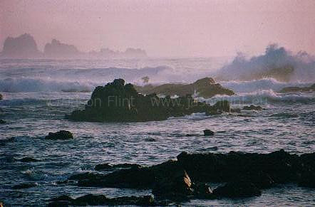99 SECOND VIEW OF THE PACIFIC, CHILE
