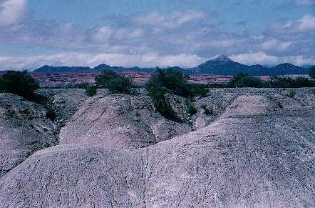 89 MOON VALLEY, CHILE